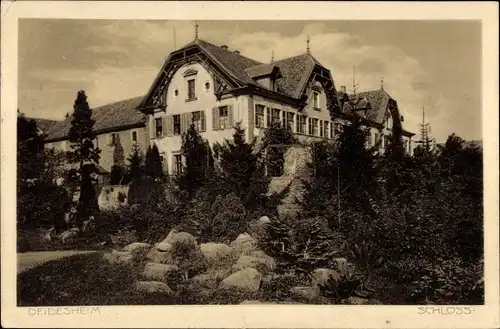 Ak Deidesheim Rheinland Pfalz, Blick auf das Schloss