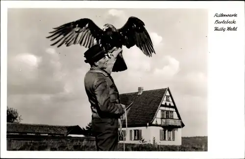 Ak Berlebeck Detmold, Ein Kaiseradler vor dem Abflug