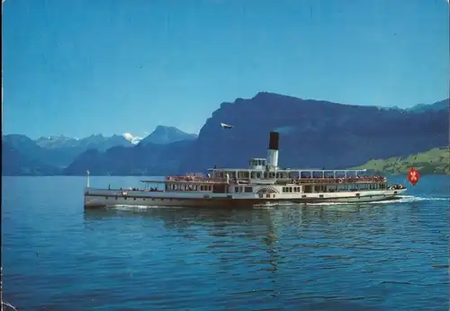 Ak Salondampfer Uri auf dem Vierwaldstättersee