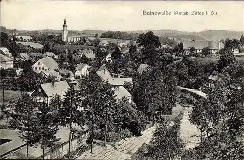Ak Hainewalde Oberlausitz, Teilansicht