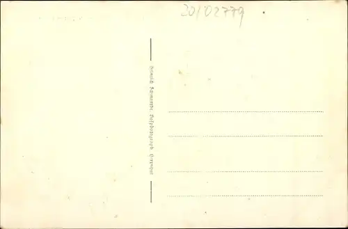 Ak Hainewalde Oberlausitz, Teilansicht