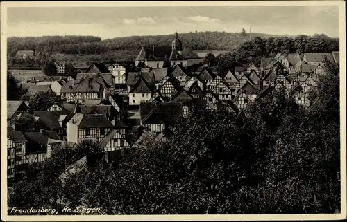 Ak Freudenberg im Siegerland, Teilansicht