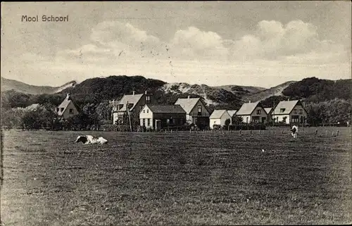 Ak Schoorl Nordholland Niederlande, Mooi Schoorl, Blick auf den Ort, Wohnhäuser, Kuh