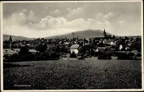 Ak Miesenheim Andernach am Rhein, Totalansicht der Ortschaft