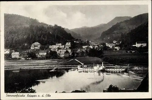 Ak Krippen Bad Schandau Sächsische Schweiz, Panorama