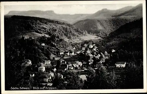 Ak Krippen Bad Schandau Sächsische Schweiz, Gesamtansicht