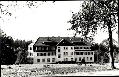 Ak Hohnstein in der Sächsischen Schweiz, Haus Sachsen