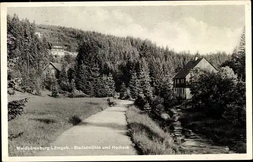 Ak Waldbärenburg Bärenburg Altenberg im Erzgebirge, Riedelmühle, Hocheck
