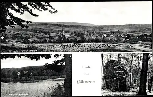 Ak Gillersheim Katlenburg Lindau in Niedersachsen, Gesamtansicht, Thierhäuser Teich, Ruine