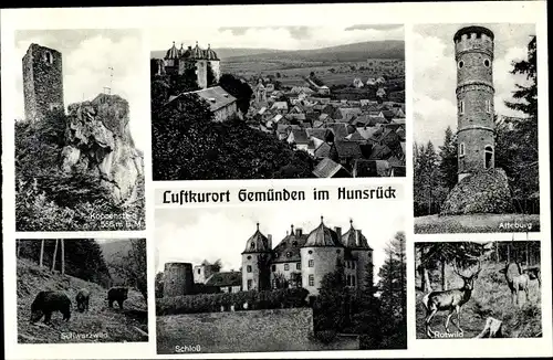 Ak Gemünden im Hunsrück, Alteburg, Rotwild, Schloß