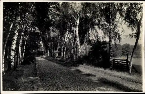 Foto Pritzwalk in der Prignitz, Hainholz Promenade