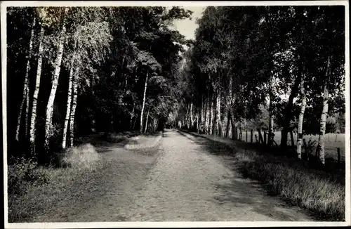 Foto Pritzwalk in der Prignitz, Hainholzpromenade