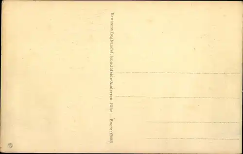 Ak Ribe Dänemark, Domkirke