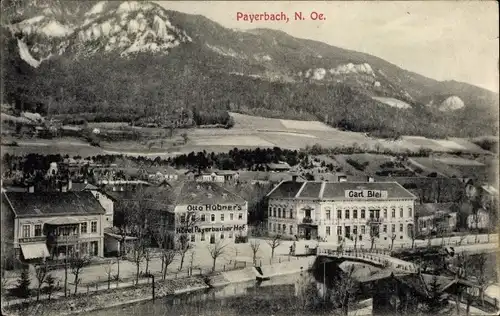 Ak Payerbach an der Rax in Niederösterreich, Hotel Payerbacher Hof, Carl Blei