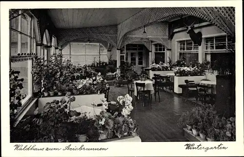 Ak Schlüchtern in Hessen, Waldhaus zum Acisbrunnen, Wintergarten