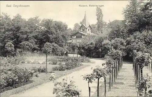 Ak Bad Oeynhausen in Westfalen, Kurpark, Rosenanlagen