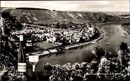 Ak Winningen an der Mosel, Panorama, Wein