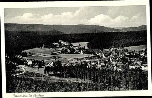 Ak Hahnenklee Bockswiese Goslar im Harz, Panorama