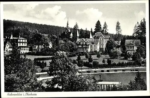 Ak Hahnenklee Bockswiese Goslar im Harz, Teilansicht