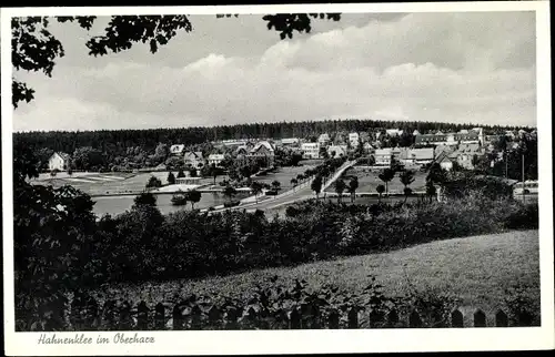 Ak Hahnenklee Bockswiese Goslar im Harz, Teilansicht
