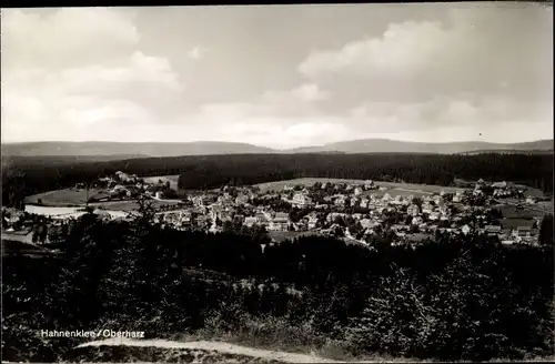 Ak Hahnenklee Bockswiese Goslar im Harz, Gesamtansicht