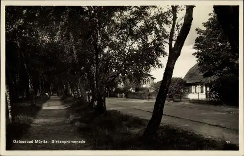 Ak Graal Müritz, Birkenpromenade