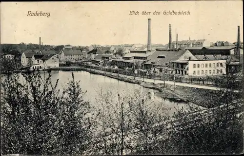 Ak Radeberg in Sachsen, Goldbachteich