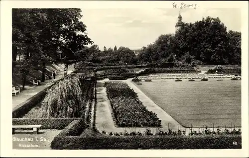 Ak Glauchau in Sachsen, Rosarium