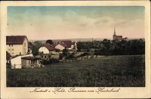 Ak Neustadt in Holstein, Panorama vom Heisterbusch