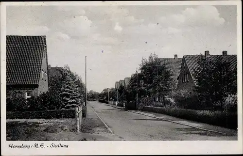 Ak Horneburg im Alten Land, Siedlung, Strassenansicht