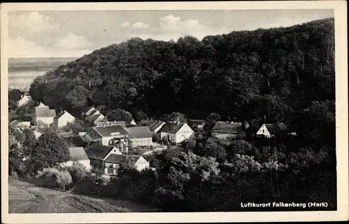 Ak Falkenberg in der Mark, Totalansicht der Ortschaft