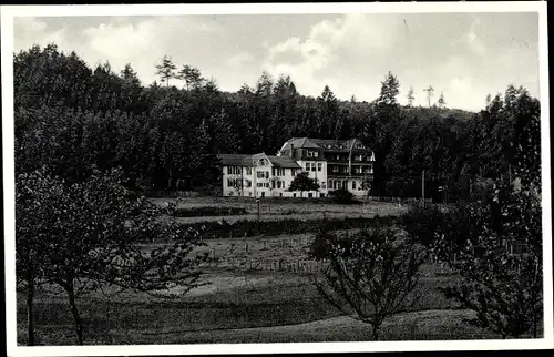 Ak Hohegrete Pracht im Westerwald, Erholungsheim, Wald