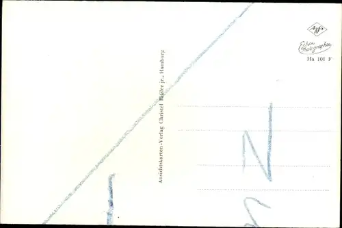 Ak Hahnenklee Bockswiese Goslar im Harz, Gesamtansicht