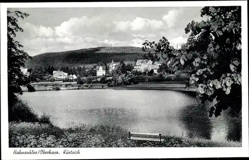 Ak Hahnenklee Bockswiese Goslar im Harz, Kurteich