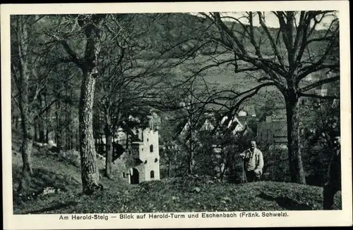 Ak Eschenbach in der Oberpfalz Bayern, Blick auf Herold Turm und Eschenbach, am Herold Steig