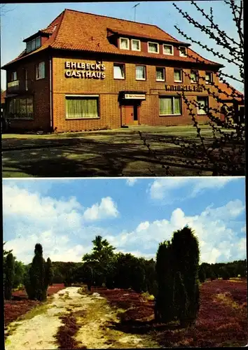 Ak Hützel Bispingen Lüneburger Heide, Ehkbeck's Gasthaus, Heideansicht