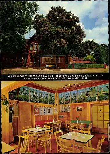 Ak Hohnebostel Langlingen Niedersachsen, Gasthof zur Vogelwelt