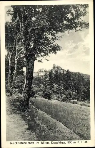 Ak Ústecký kraj Region Aussig Tschechien, Mückentürmchen