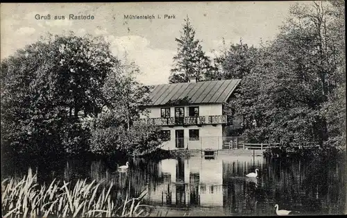 Ak Rastede in Oldenburg, Mühlenteich, Parkanlage