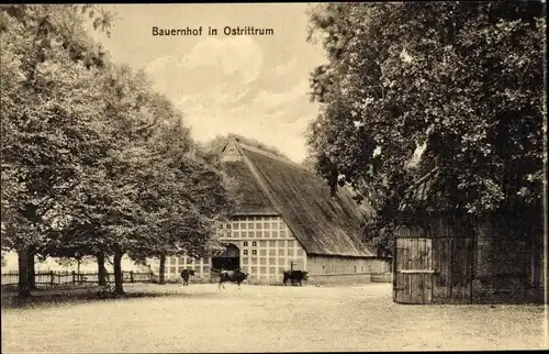 Ak Ostrittrum Dötlingen bei Lemwerder, Bauernhof, 1916 