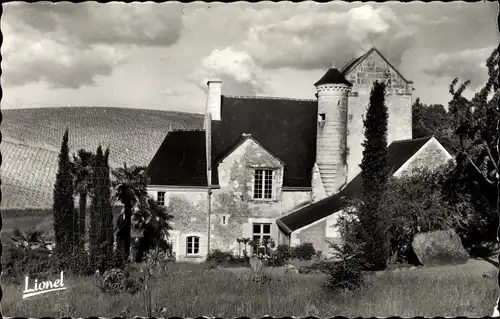 Ak Blaison Maine-et-Loire, Le Chateau de Chemant