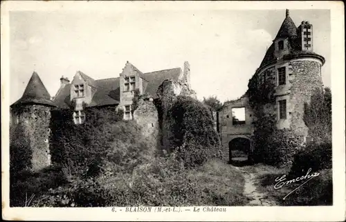 Ak Blaison Maine et Loire, Le Chateau