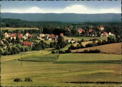 Ak Friedenfels in der Oberpfalz, Gesamtansicht