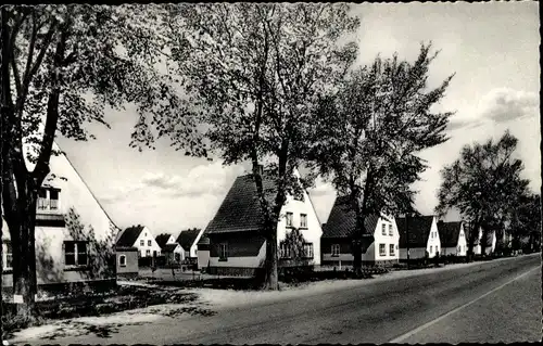 Ak Altenbruch Cuxhaven in Niedersachsen, Neues Viertel, Wohnhäuser