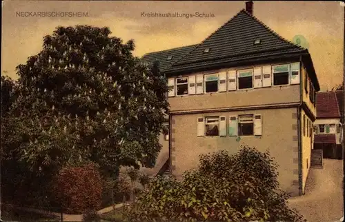 Ak Neckarbischofsheim in Baden, Kreishaushaltungs Schule