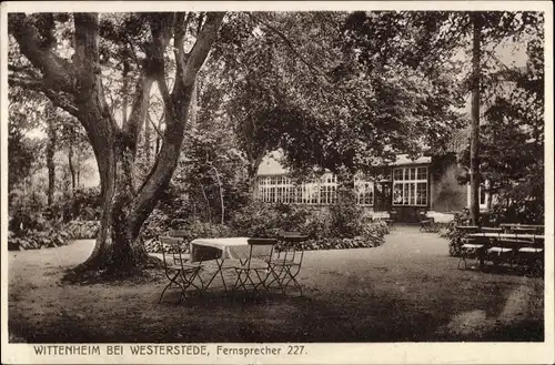 Ak  Westerstede in Oldenburg Ammerland, Wittenheim, Gartenterrasse