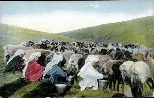 Ak Russische Typen aus Zentralasien, Das Melken von Schafen, Mongolei?