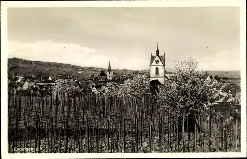 Ak Endingen am Kaiserstuhl, Teilansicht