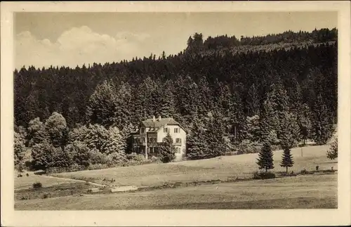 Ak Bischofsgrün im Fichtelgebirge, Fremdenheim Villa Helene, Wald