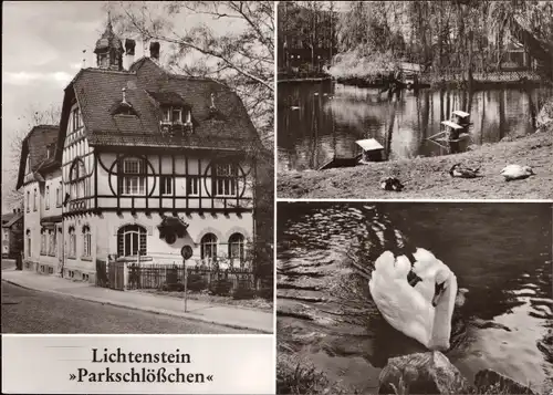 Ak Lichtenstein Hohenstein Ernstthal in Sachsen, Lichtenstein Parkschlößchen, Schwan